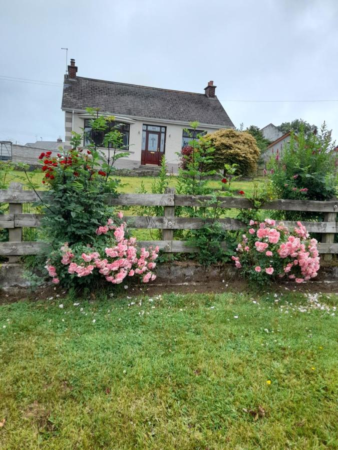 Maryrose cottage Rasharkin Exteriör bild